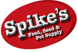 Spikes Feed